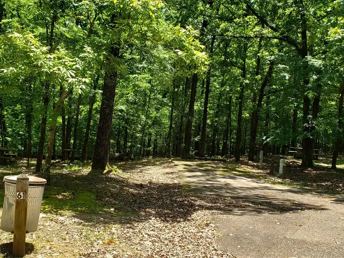 61