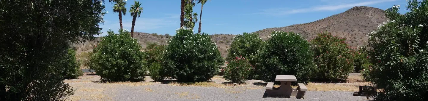 Site 4