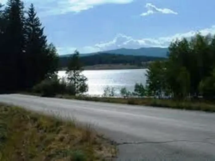 Brookchar