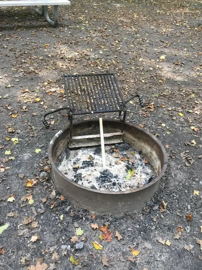 Site #3