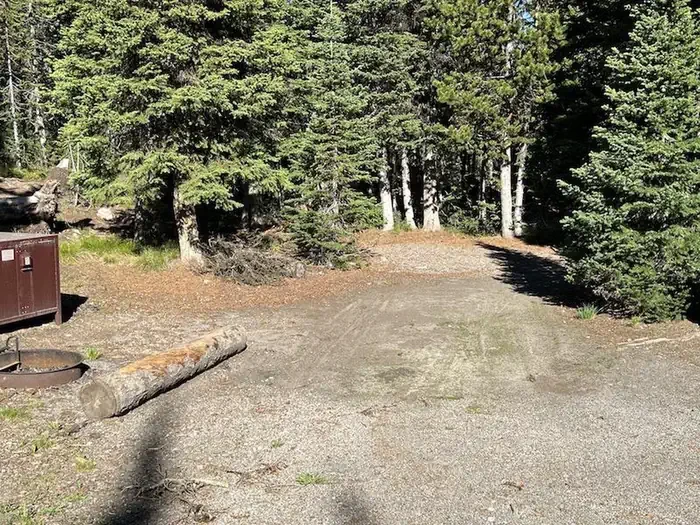 Lewis Lake site #41