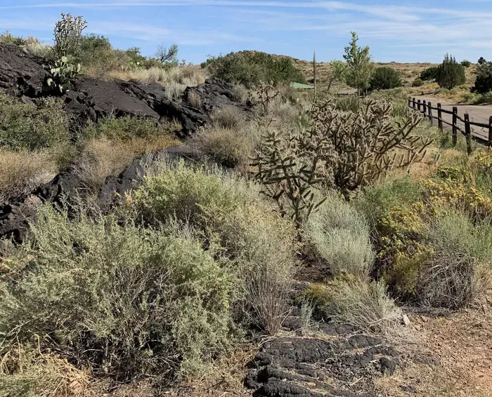 Site 22