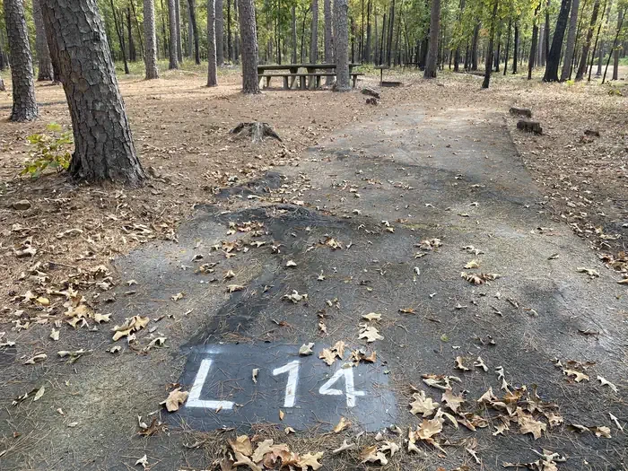 L14