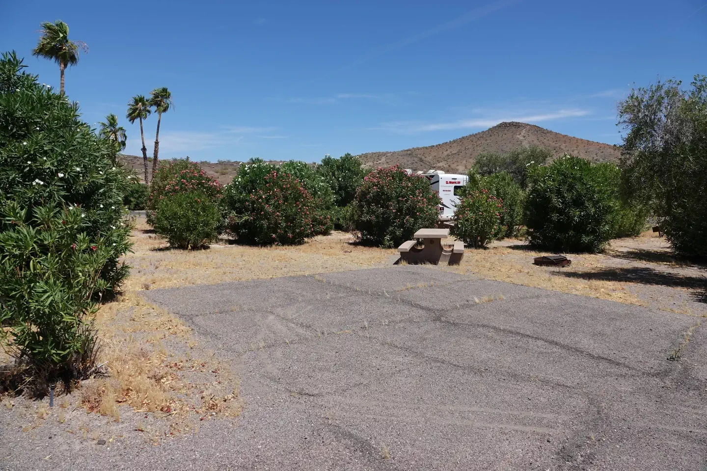 Site 6