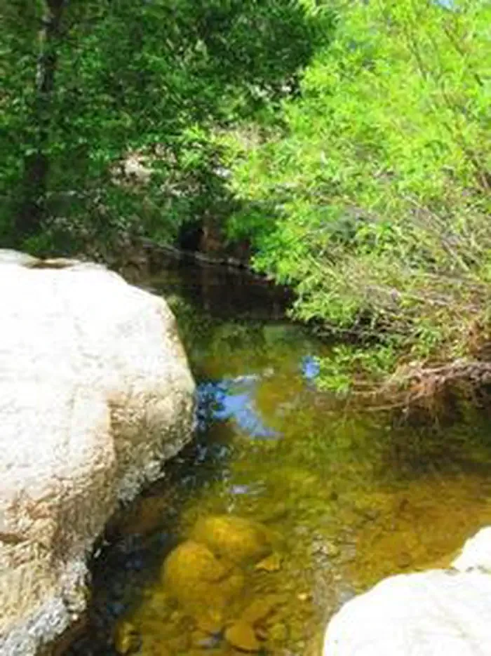 Reynolds Creek Group Campground