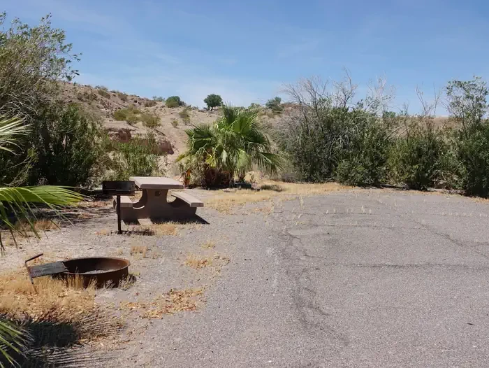 Site 25