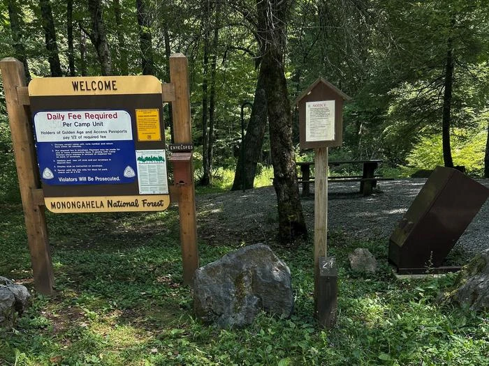 Williams River Campsites