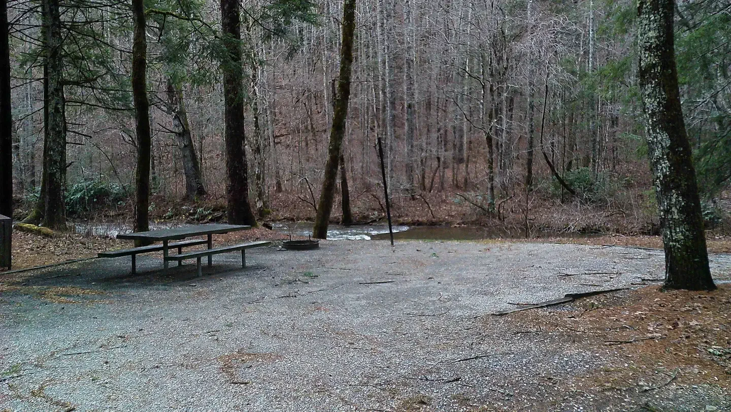 Tate Branch Campground (Clayton, GA)