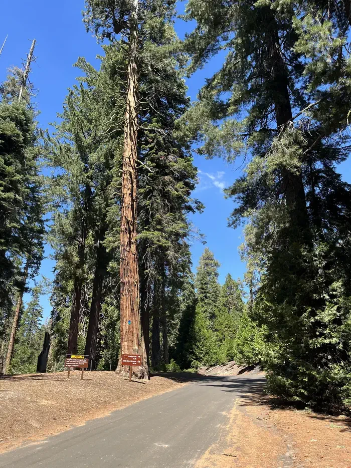 Crystal Springs Campground Mid-Sized Group Sites