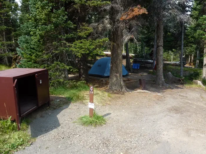 Lewis Lake site #39