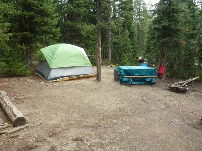 Lewis Lake site #6
