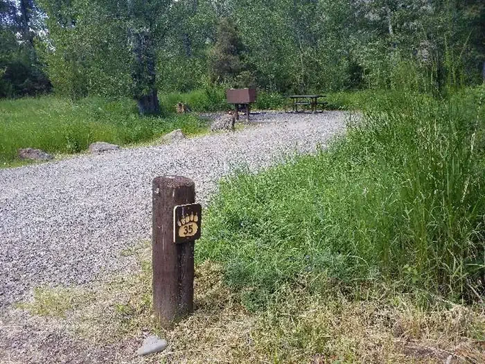 35