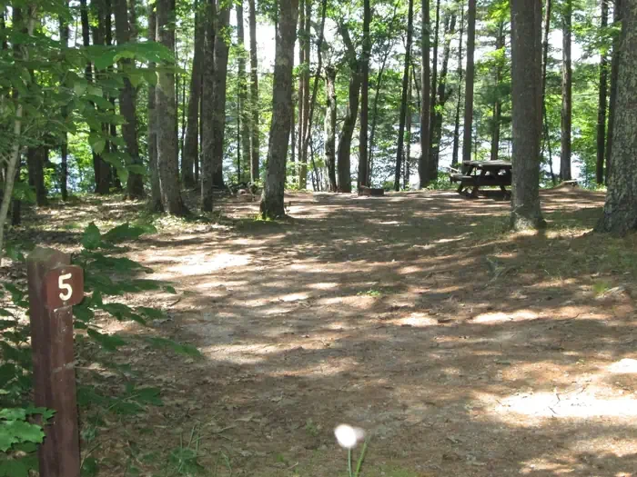 Little Bass Lake Campsites
