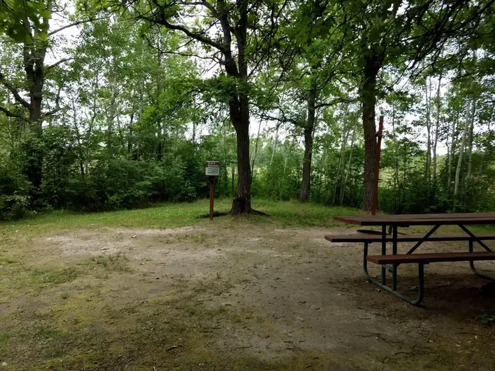 Tent 8