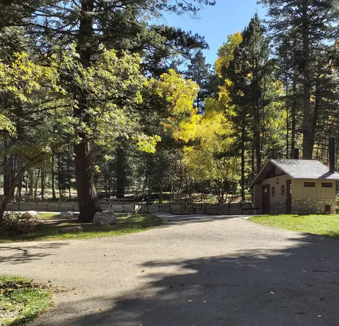 Aspen Group Area (Lincoln National Forest, NM)
