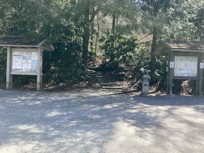 Whiteside Mountain
