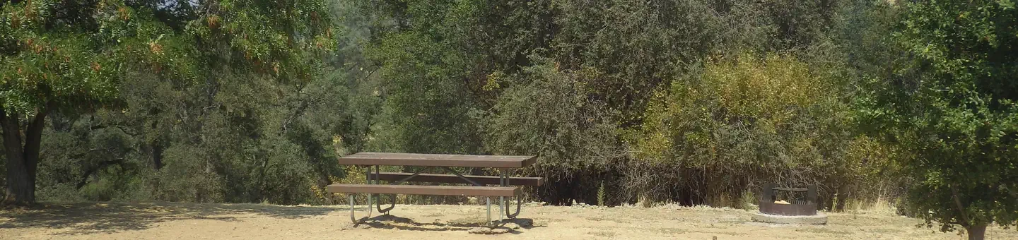 050