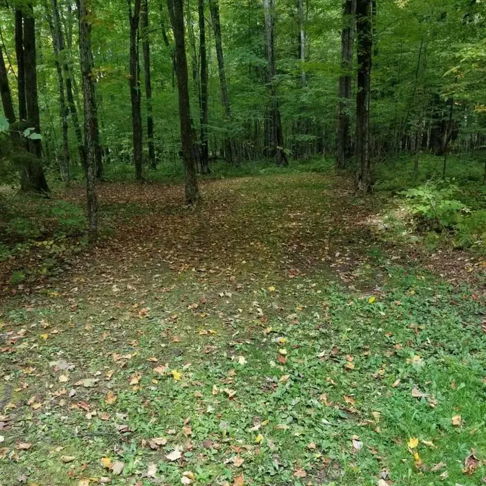 S50
