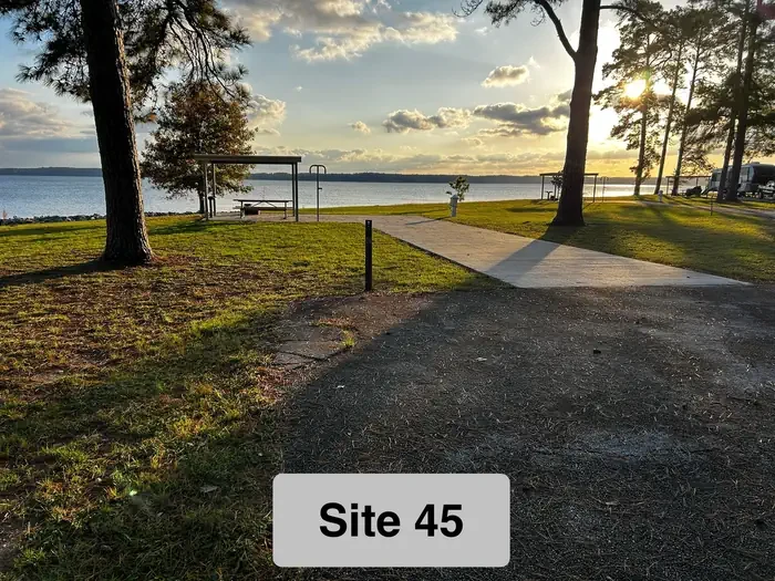 45