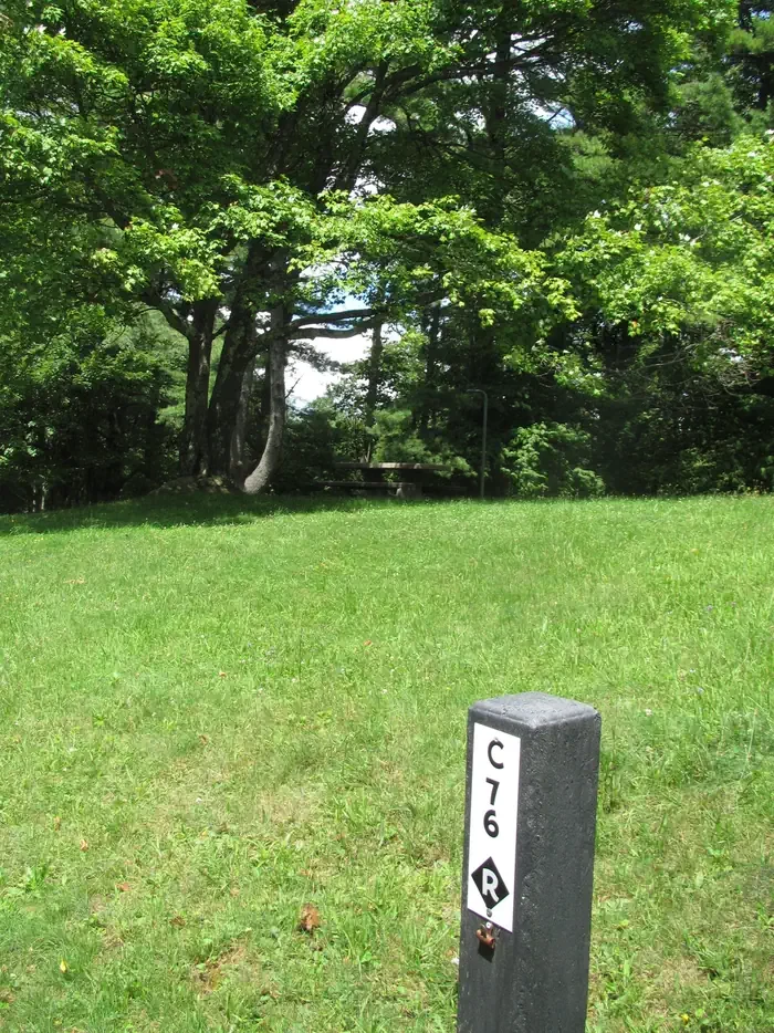 C76