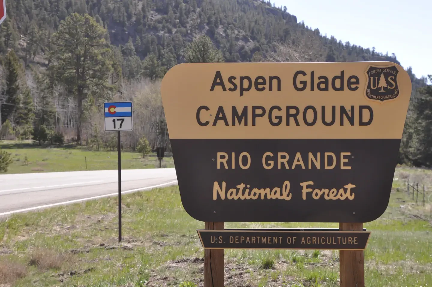 Aspen Glade (Rio Grande National Forest, CO)