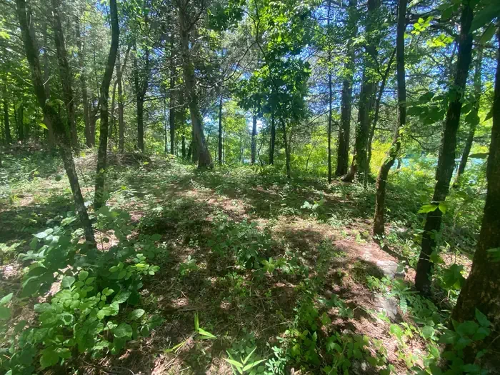 Eagle Creek -Site 9