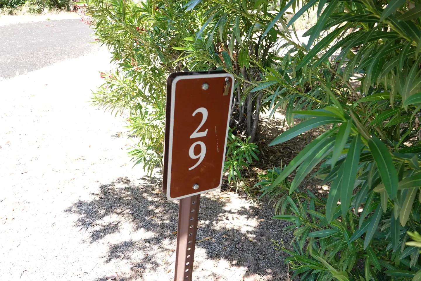 Site 29