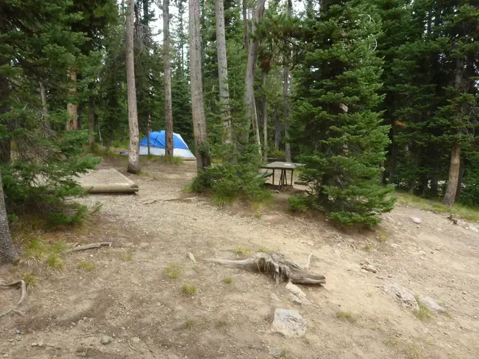 Lewis Lake site #51