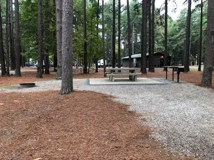 E13