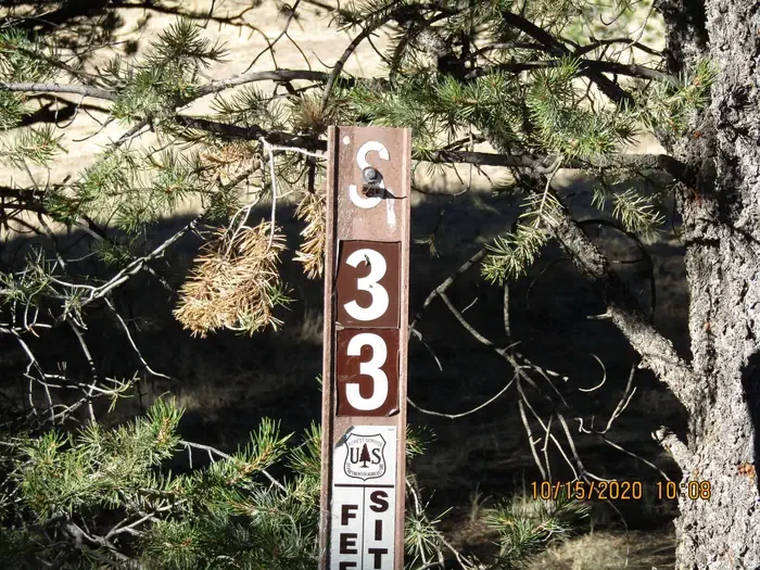 33