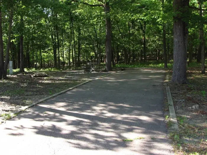 Site 20