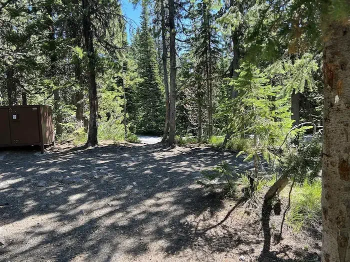 Lewis Lake site #83