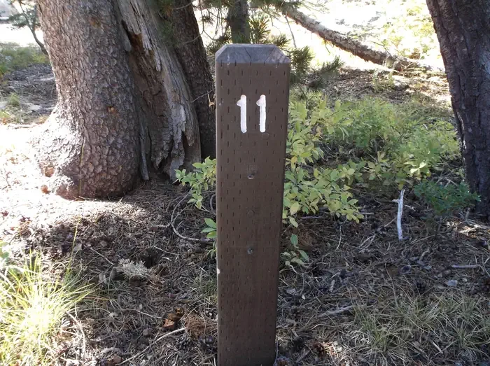 011