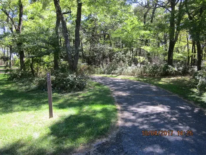 D117