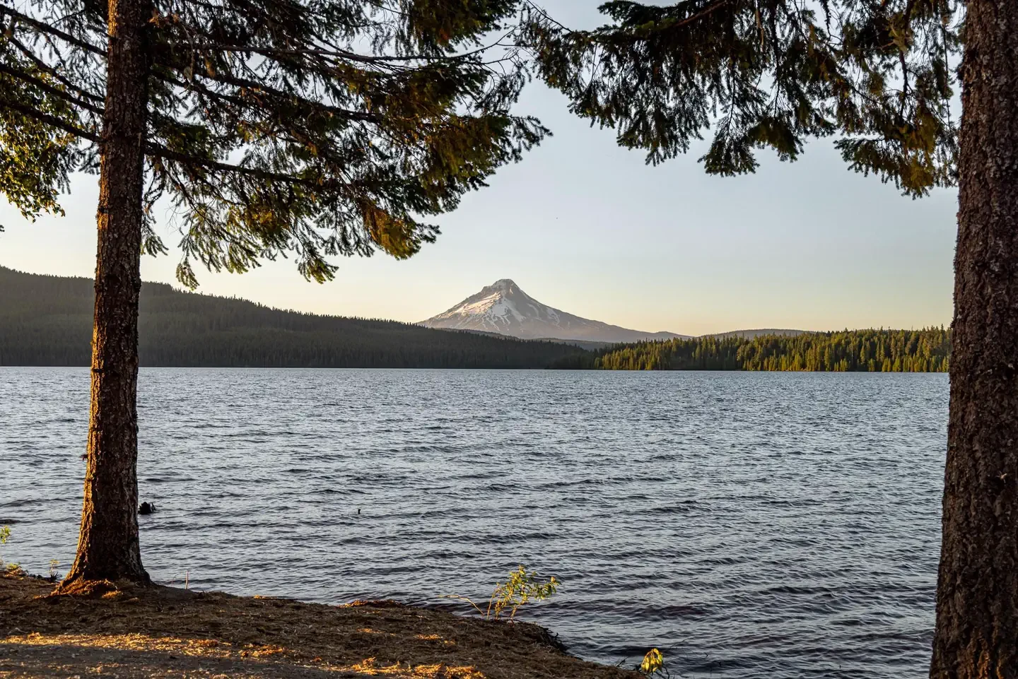 Stone Creek Campground (Timothy Lake, OR)