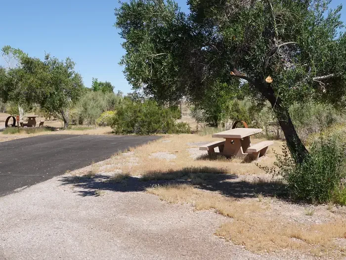 Site 7