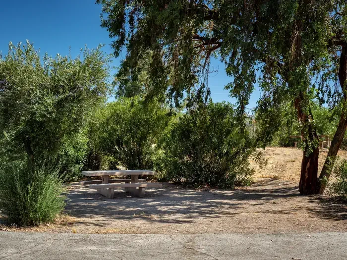 Site 63