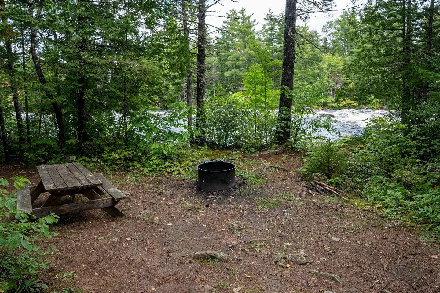 Pond Pitch