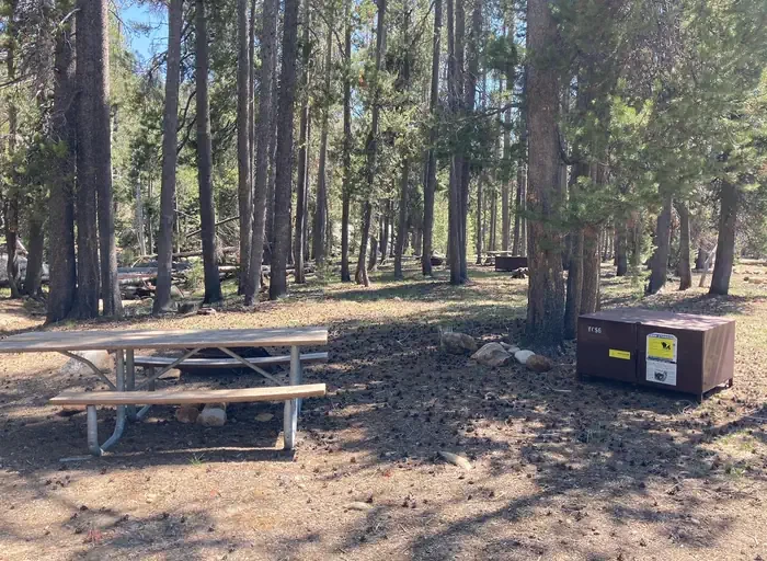 56