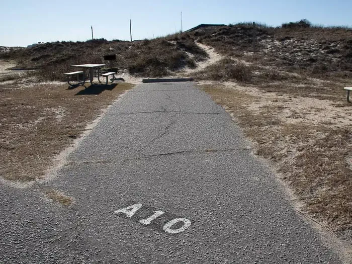 A010
