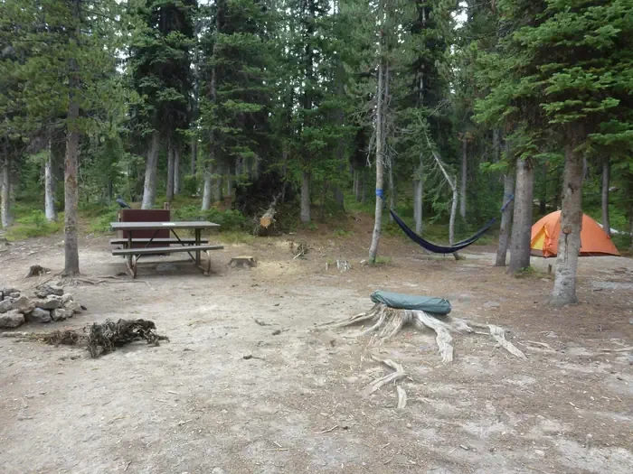 Lewis Lake site #16