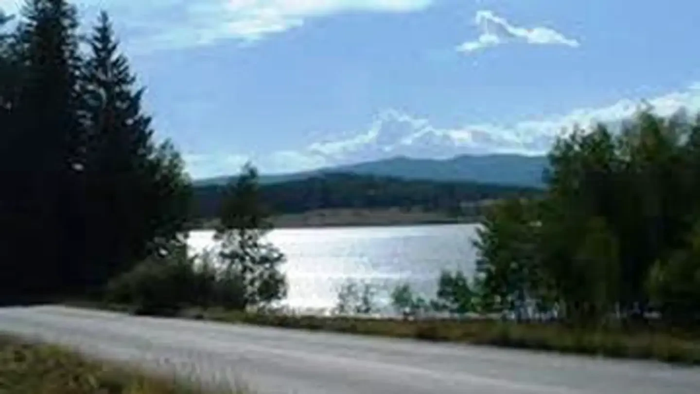 Brookchar