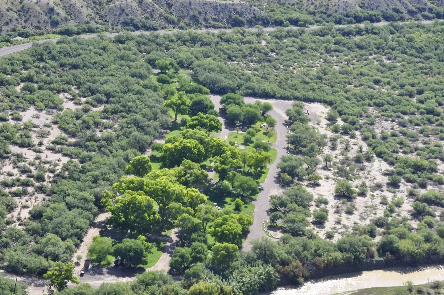 Cottonwood (Big Bend, TX)