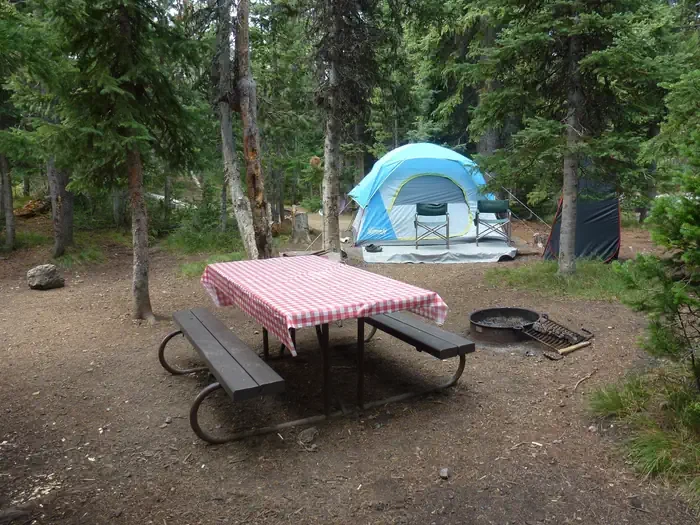 Lewis Lake site #18