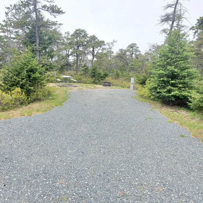 A13