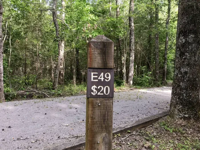 49
