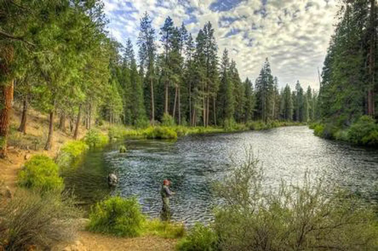 Lower Bridge Campground