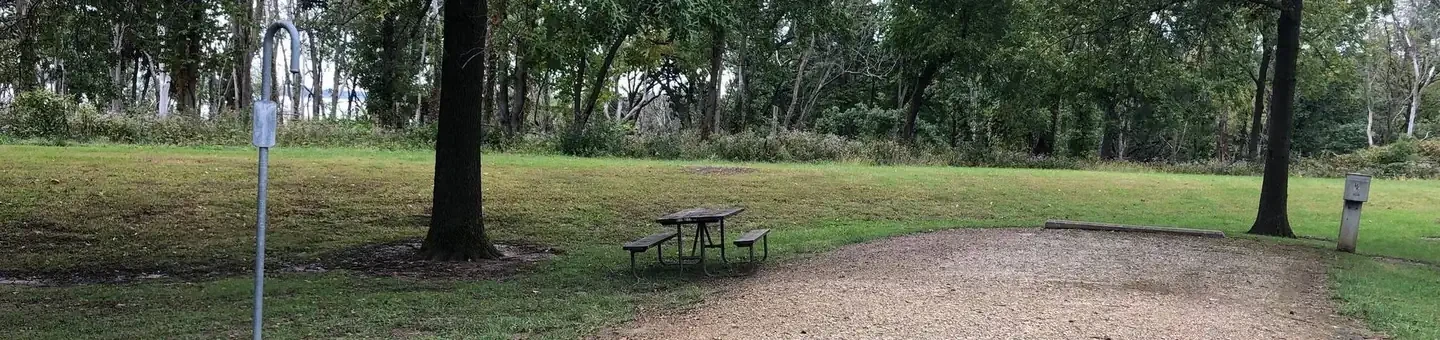 67