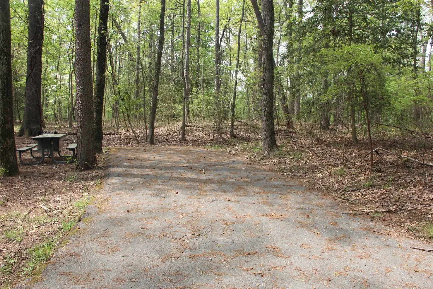 D115