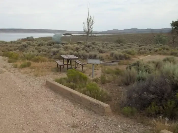44